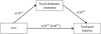 Relation Between Awe and Environmentalism: The Role of Social Dominance Orientation